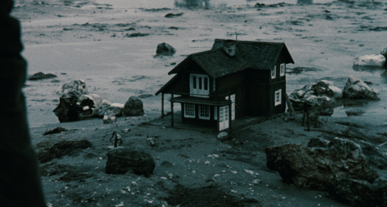Andrei Tarkovsky's final film, THE SACRIFICE.