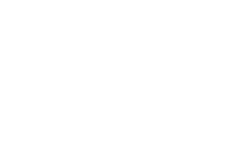 Rotterdam Official Selection
